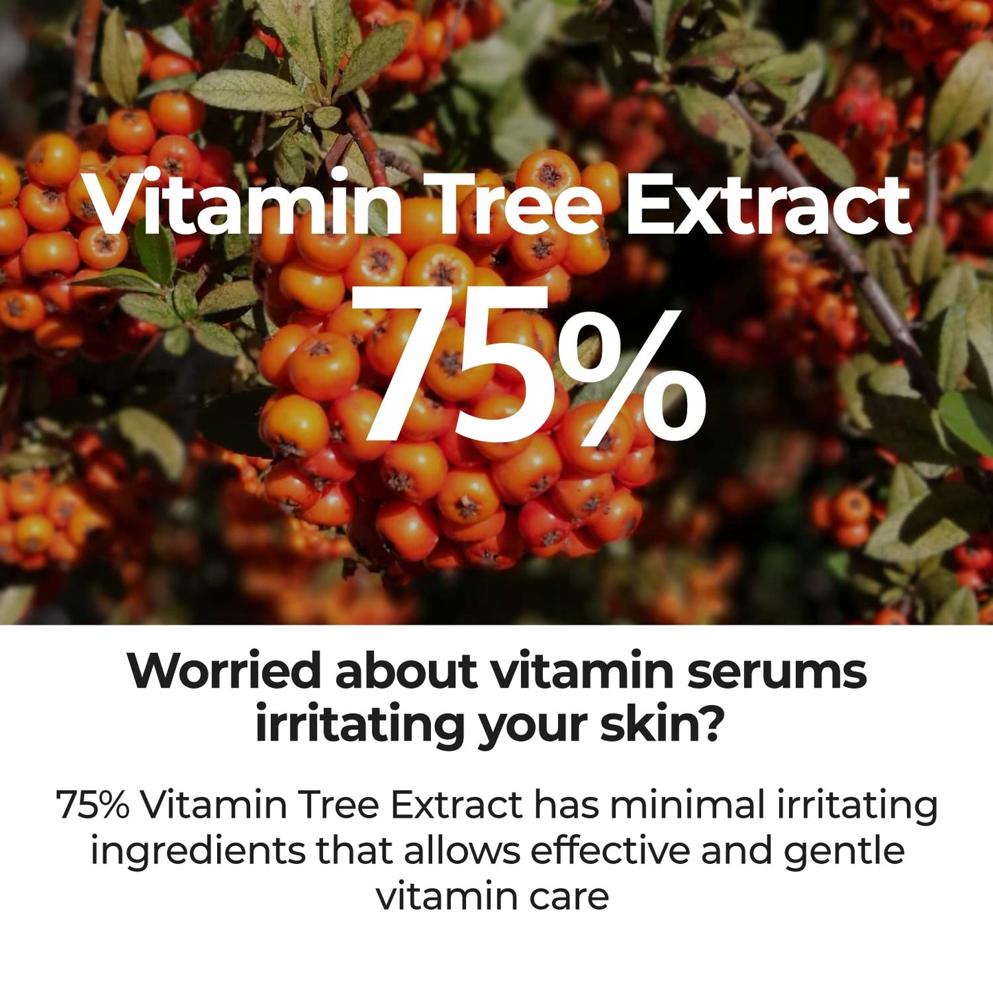 Numbuzin – No.5 Good Bye Blemish Serum 50ml